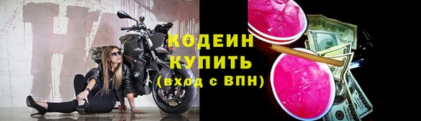 спиды Костерёво
