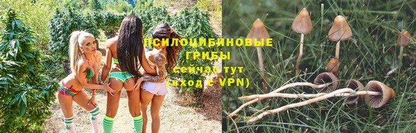ALPHA PVP Коряжма