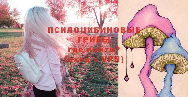 спиды Костерёво